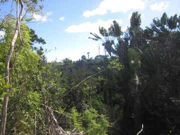 Residential Land