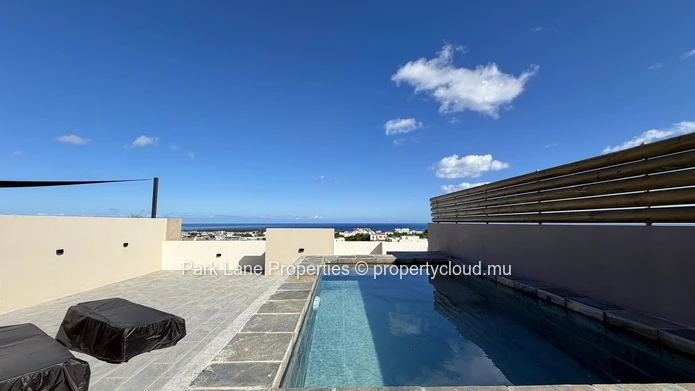 Top-Floor 3-Bedroom Apartment with Exclusive Rooftop and Plunge Pool