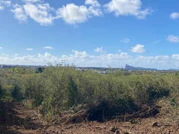 Residential Land
