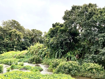 Residential Land
