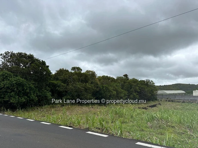 Terrain agricole avec possibilité de conversion à vendre – Salazie