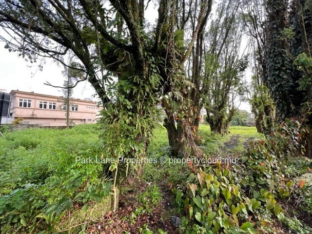 Prime development opportunity – 1.4 Acres in the heart of Curepipe