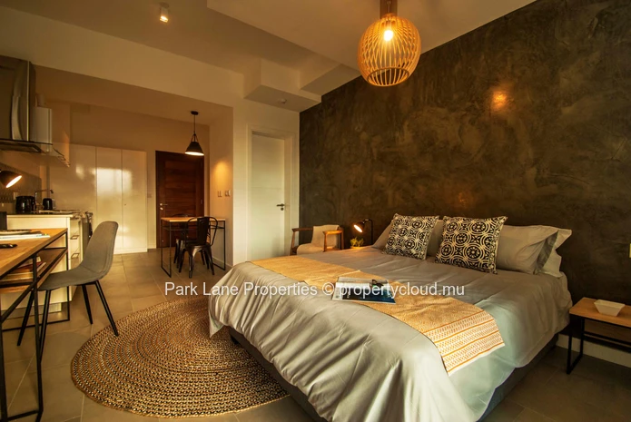 Modern & stylish studio apartment in Ebene