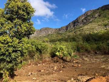 Agricultural Land