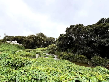 Residential Land