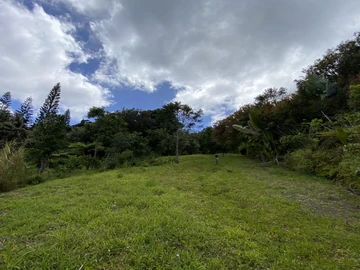 Residential Land