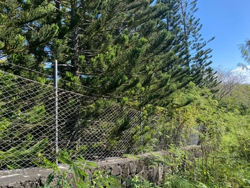 Residential Land