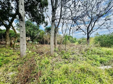 Agricultural Land