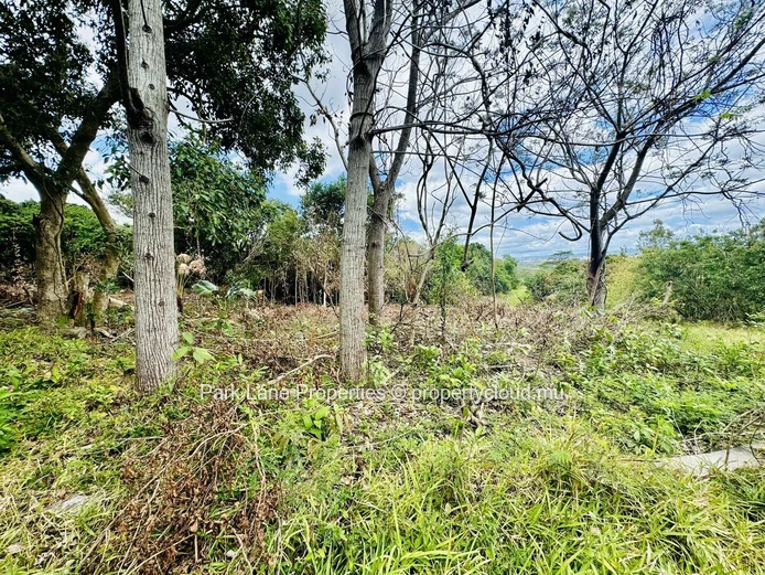 Agricultural land of 50 perches on the mountain