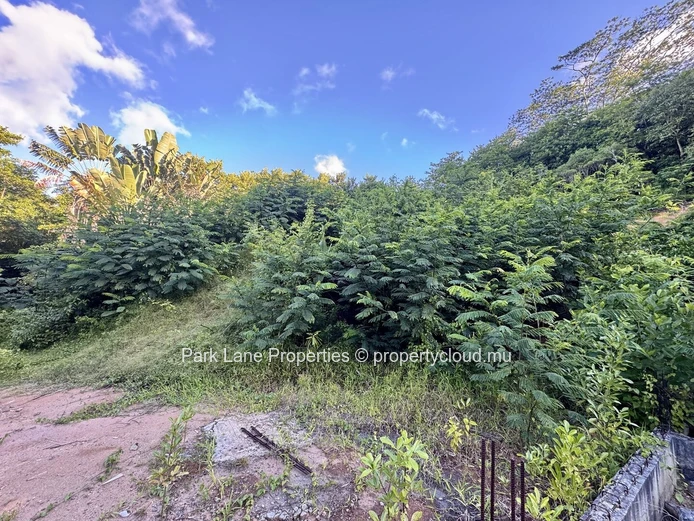 Agricultural plot for sale in Chamarel