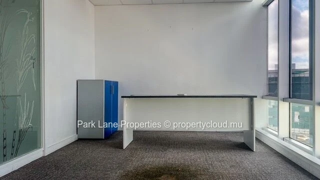 Espace Professionnel d’Exception à Ebene : Flexibilité et Modernité !