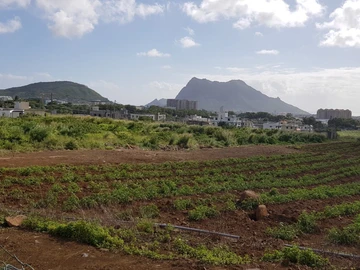 Agricultural Land