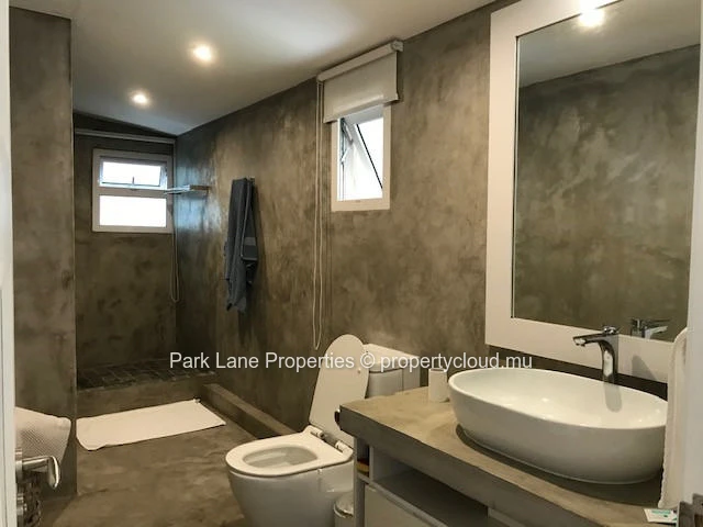 Stylish renovated apartment with terrace in Floreal 