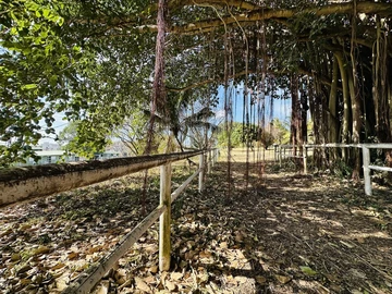 Agricultural Land