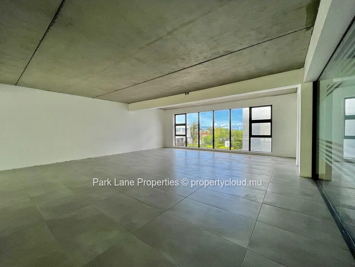 Prestige Business Centre in Black River - Office Space for Rent