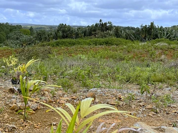 Agricultural Land