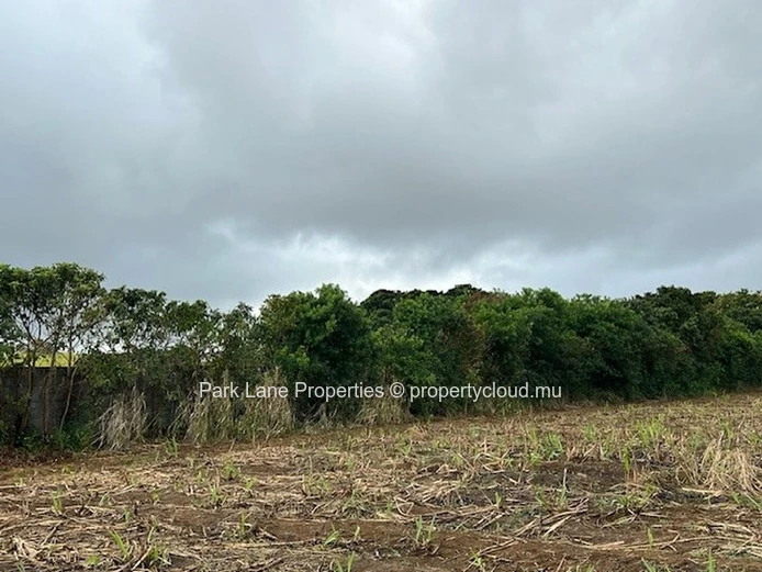 Potentiel de Transformation : Terres Agricoles de Trianon Près de l'Autoroute vers Verdun