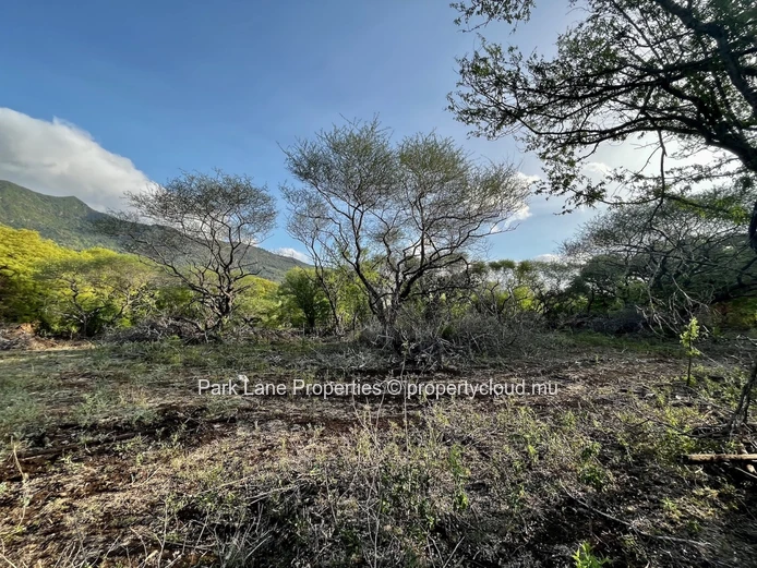 Strategic Investment Opportunity – 1,213 m² Freehold Plot Adjacent To Domaine De Palmyre