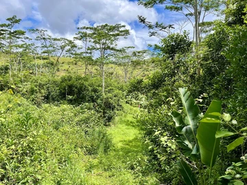 Agricultural Land