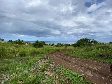 Agricultural Land