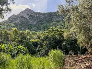 Residential Land