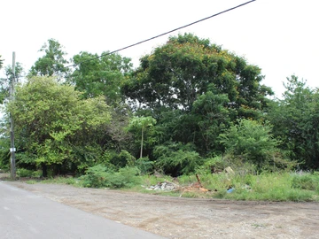 Residential Land
