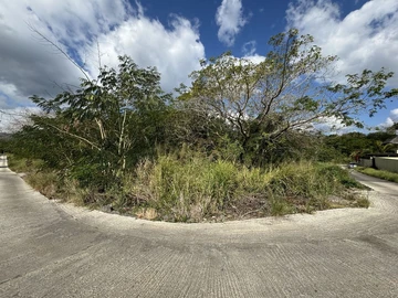 Agricultural Land