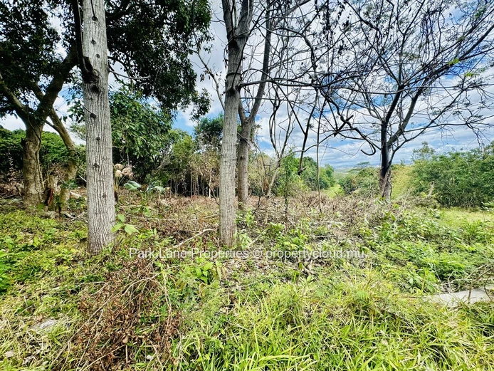 Terrain agricole à vendre à Moka
