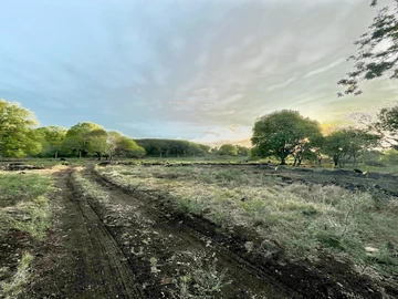 Residential Land