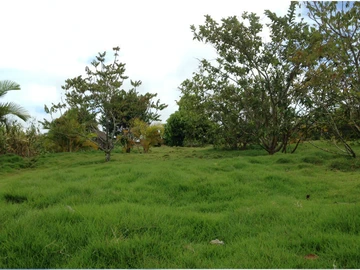 Residential Land