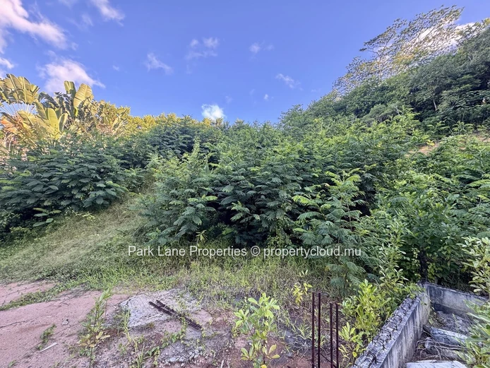 Agricultural plot for sale in Chamarel