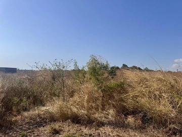 Residential Land