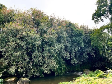 Residential Land