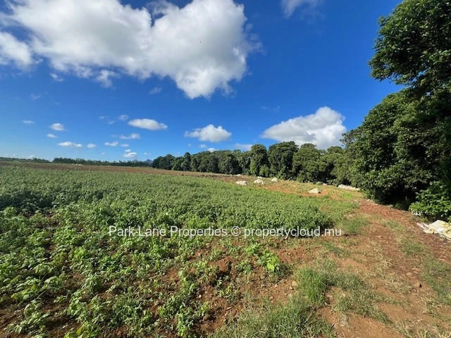 Exceptional investment opportunity: strategically located agricultural land in Valentina