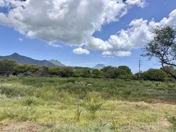 Residential Land
