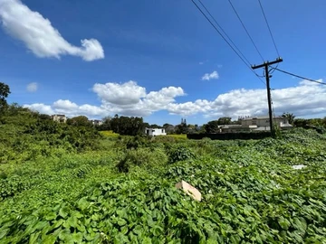 Residential Land