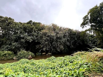 Residential Land