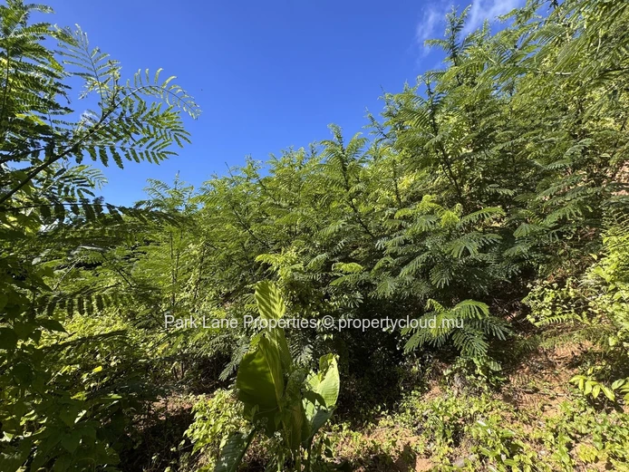 Agricultural plot for sale in Chamarel