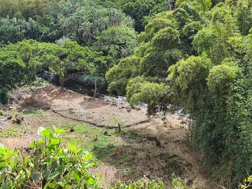 Agricultural Land