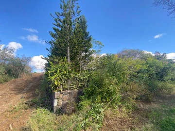 Residential Land