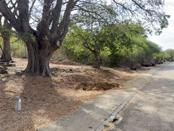 Residential Land