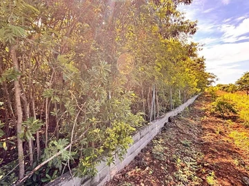 Residential Land