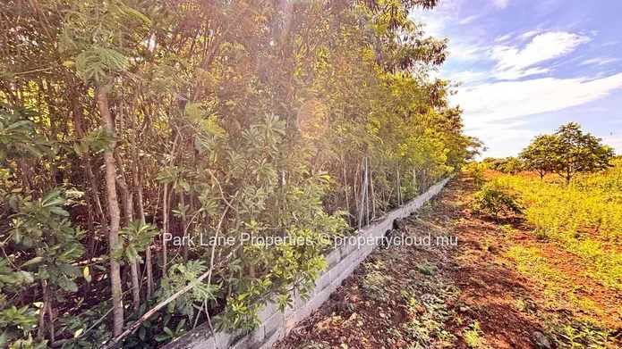 For Sale – 4,206 m² Residential Land in Petit Raffray