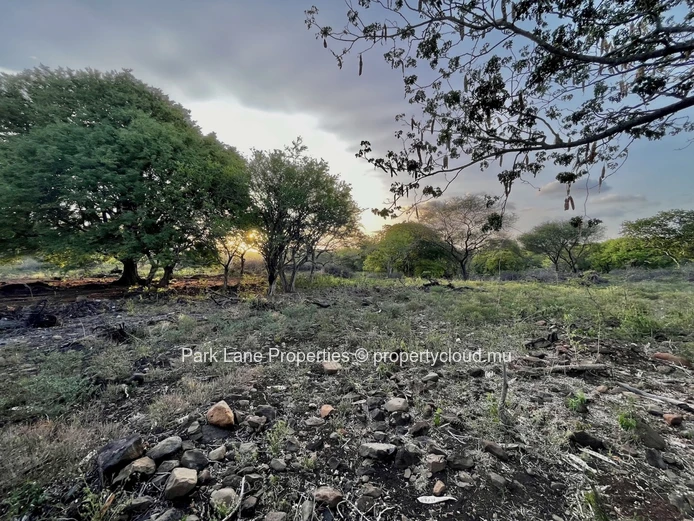 Projet résidentiel exclusif – Terrain de 3 540 m² autorisant 3 maisons de plain-pied