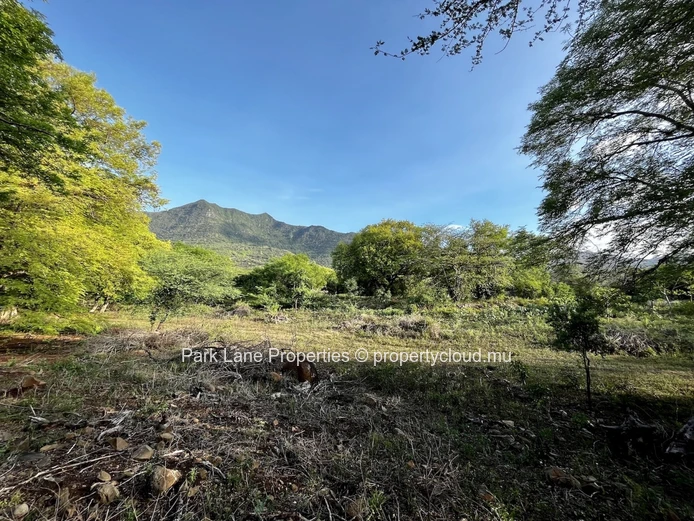 Terrain d’exception de 1 480 m² – Investissez Dans L’art De Vivre à Rivière Noire