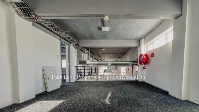 Professional office space with mezzanine in the heart of Rose Hill