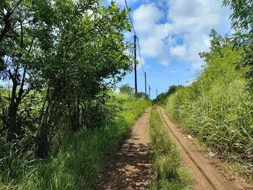 Residential Land