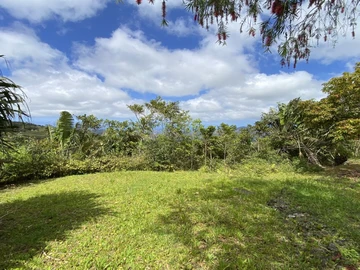Residential Land