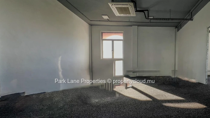 Professional office space with mezzanine in the heart of Rose Hill