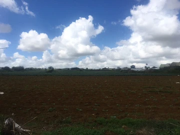 Agricultural Land
